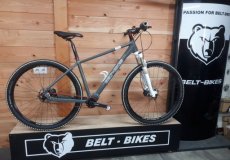 Belt-Bikes 19  pinion C1.12